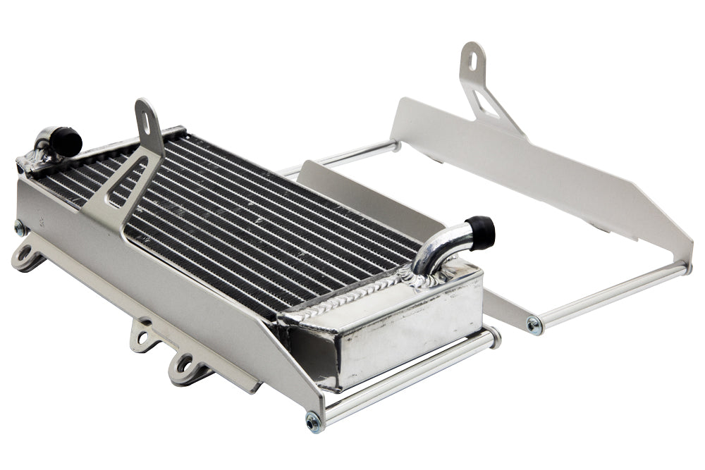 Beta RR 4T / 2T ALL 20-> - LIGHT ALUMINUM RADIATOR GUARD