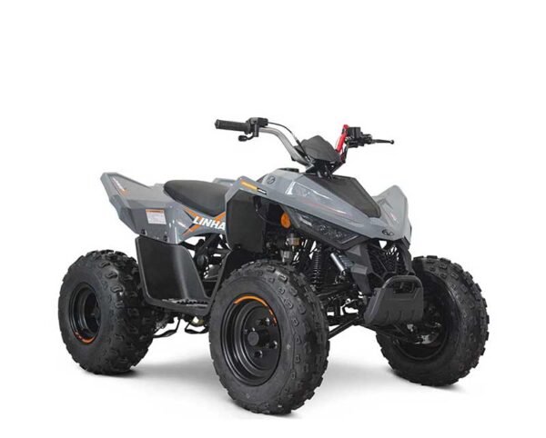 LINHAI ATV 110 EFI